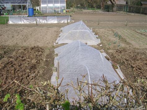 Beschermde moestuin met vliesdoek