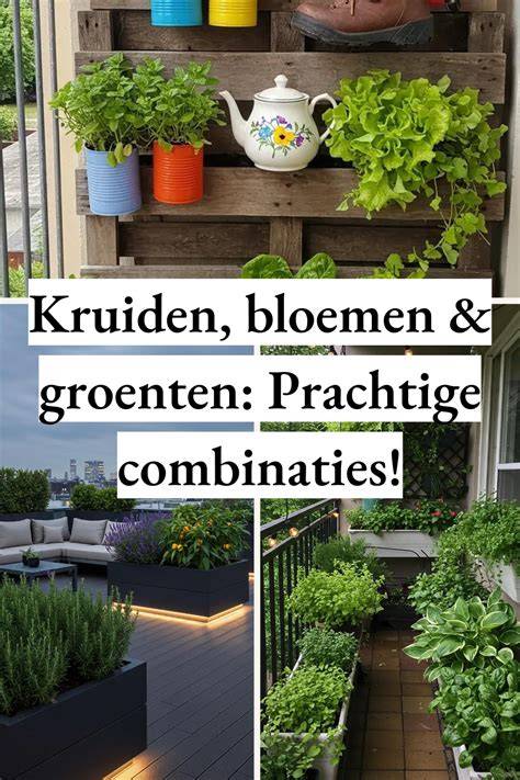 Magische kruidentuin met kruiden en bloemen