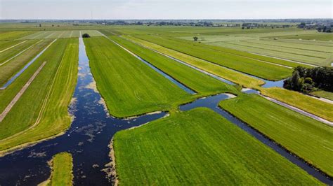 Fietsers in polderlandschap van het Groene Hart