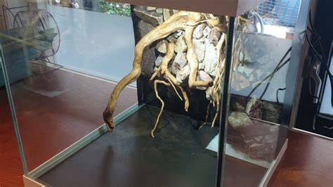 kunststof mangrovewortel in aquarium