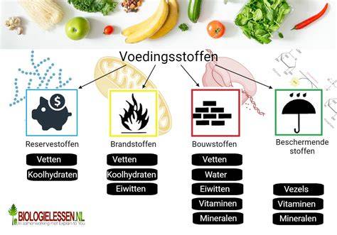 Veilig voedsel verhitten in keuken