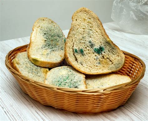 Brood met schimmel onder vergroting